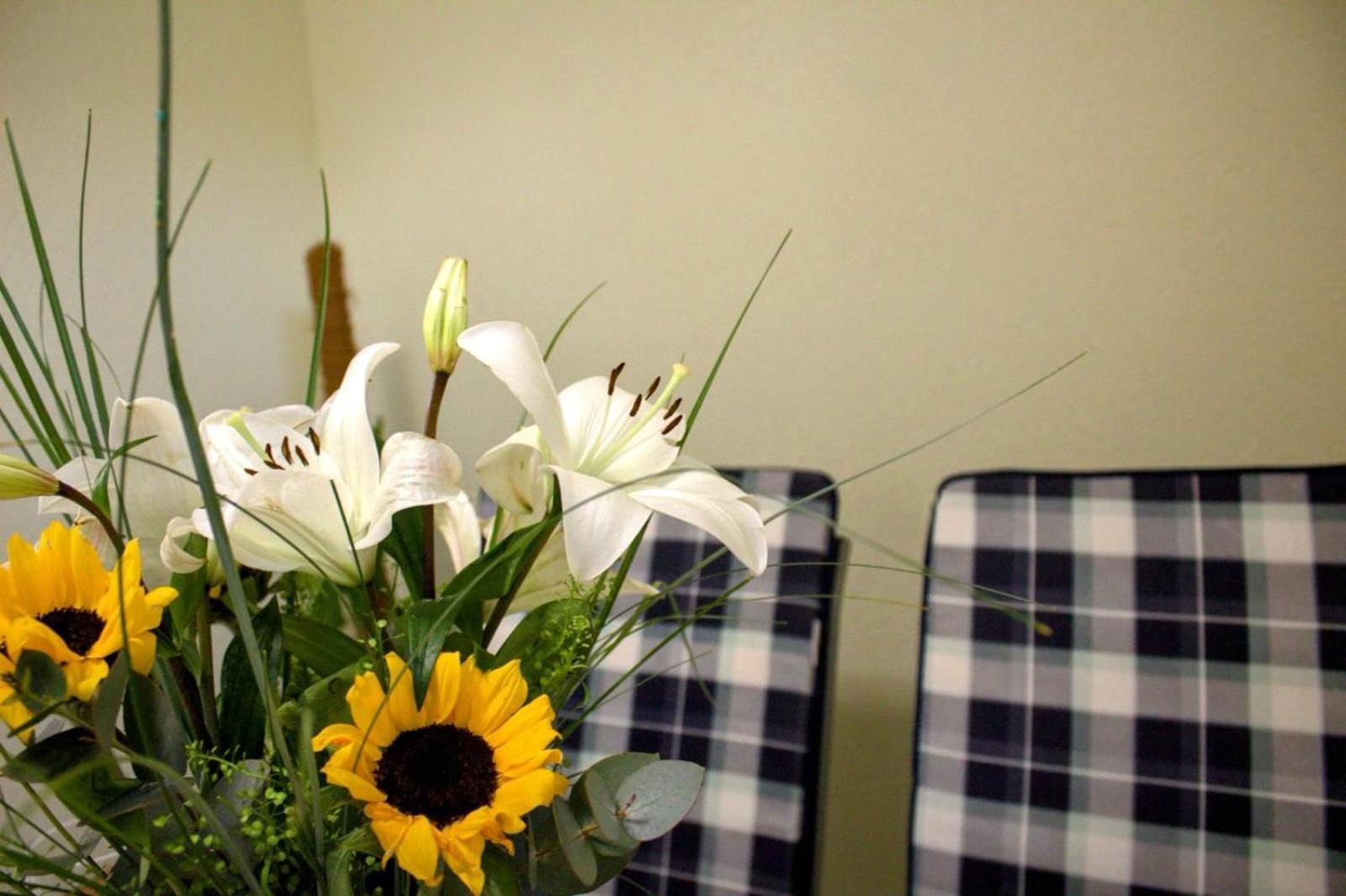 Danijela Apartment *