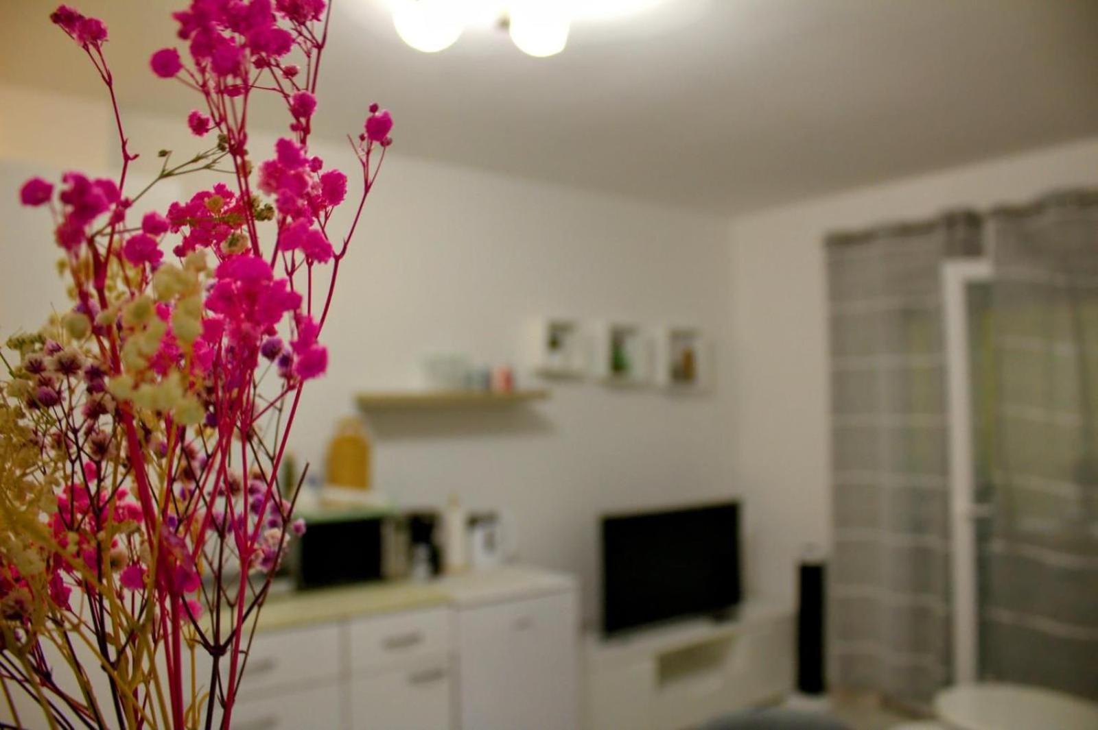 Danijela Apartment *